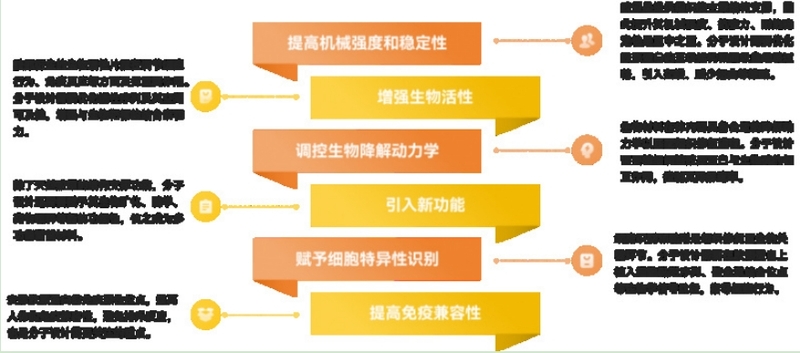 目的基因設(shè)計(jì)的核心需求.png