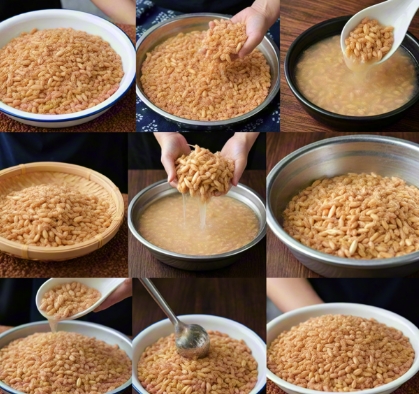 粮食发酵菌冻干机.png