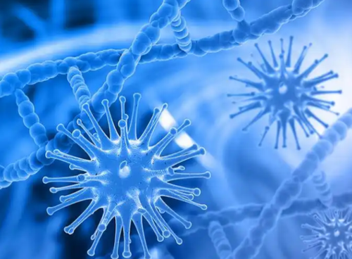 细胞外泌体微观结构生物研究图